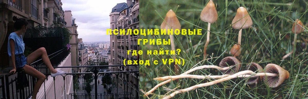 сатива Абдулино
