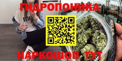 гашик Заволжье