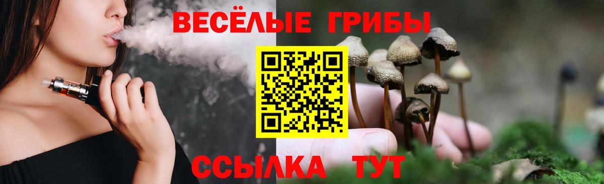 где можно купить наркотик  Псилоцибиновые грибы прущие грибы  Вход с VPN  Рассказово 